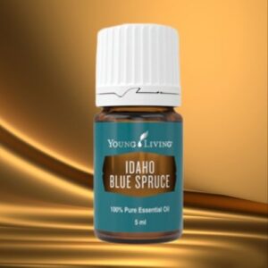 Ätherisches Blue-Spruce-Öl – tiefer, harzig-holziger Duft für Erdung, Stabilität und innere Standfestigkeit