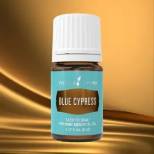 Blue Cypress