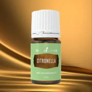 Citronella