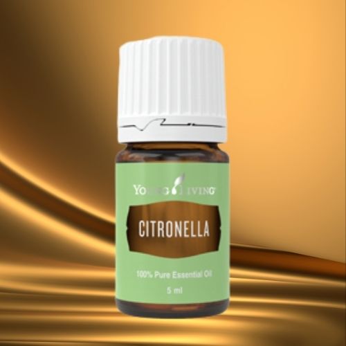 Ätherisches Citronellaöl – frisch-zitroniger Duft für Klarheit, Ordnung und schützende Frische