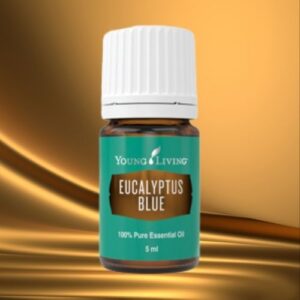 Ätherisches Öl Eucalyptus Blue von Young Living
