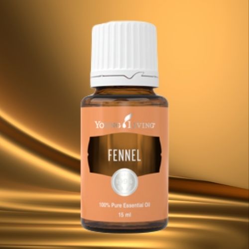 Ätherisches Fenchelöl – süßlich-würziger Duft zur Unterstützung von Bauchgefühl und innerer Balance