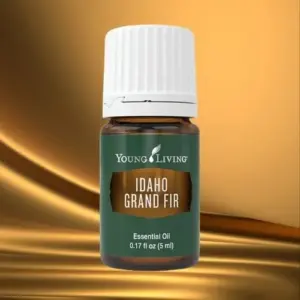 Idaho Grand Fir