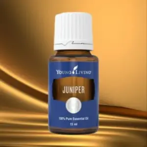 Juniper