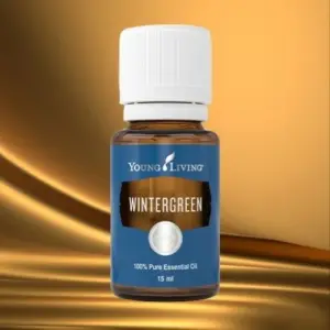 Wintergreen