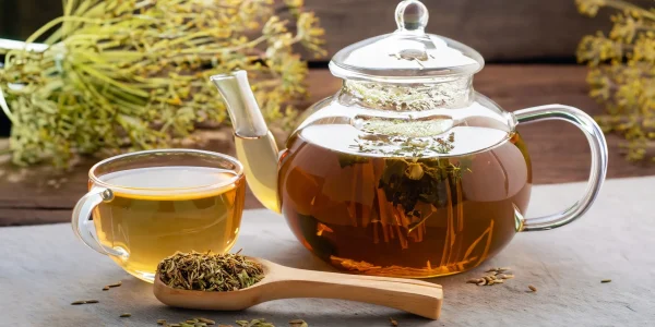 die-kraft-der-natur-zum-trinken-bei-zukunfts-impuls